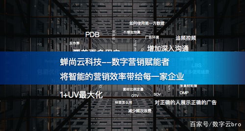 蟬尚云科技與時(shí)粹科技 攜手賦能企業(yè)數(shù)字化轉(zhuǎn)型新篇章